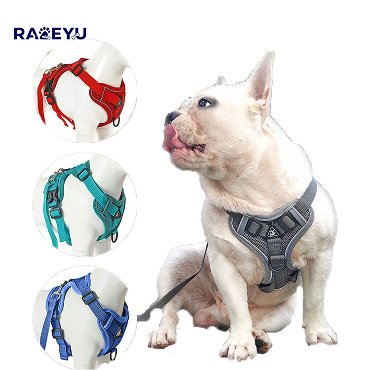 Adjustable Anti-escape Pet Harness & Leash for Outdoor Walks